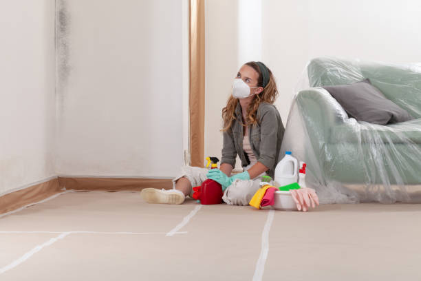 Reliable Mold Remediation contractor in Garwood, NJ by 24 Hour Mold Removal
